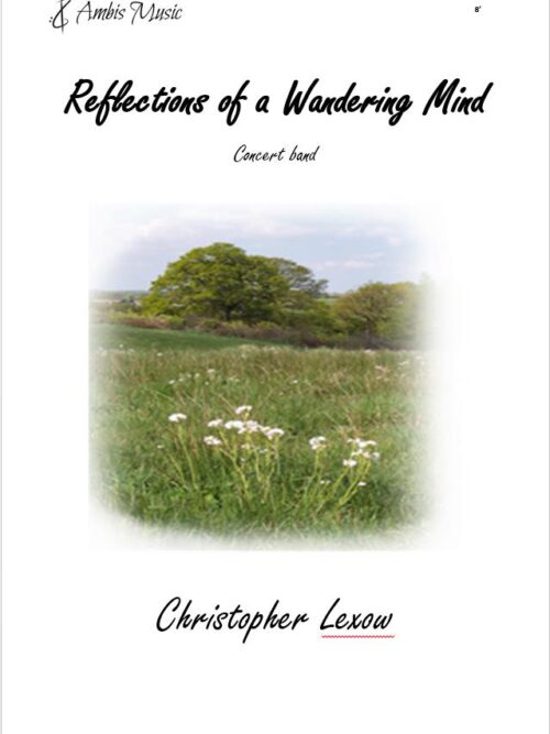 Reflections Reflections of a Wandering Mind