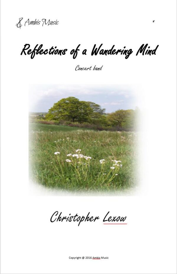 Reflections of a Wandering Mind